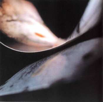 CD Cocteau Twins: Stars And Topsoil A Collection (1982-1990)