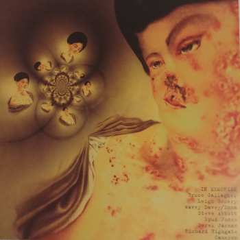 2LP Coil: A Thousand Lights In A Darkened Room