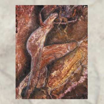 Album Coil: Swanyard
