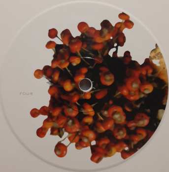 3LP Coil: The Ape Of Naples LTD | CLR
