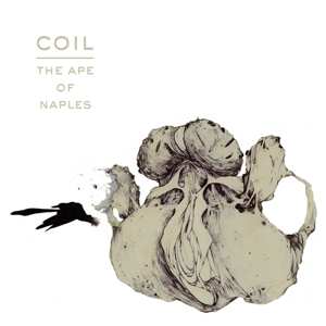 2CD Coil: Ape Of Naples