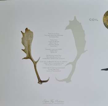 3LP Coil: The Ape Of Naples LTD | CLR