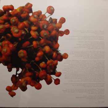 3LP Coil: The Ape Of Naples LTD | CLR