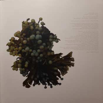 3LP Coil: The Ape Of Naples LTD | CLR