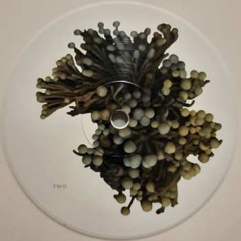 3LP Coil: The Ape Of Naples LTD | CLR