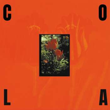 LP Cola: The Gloss