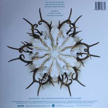 LP Colin Stetson: All This I Do For Glory