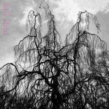 Album Sarah Neufeld: Never Were The Way She Was