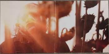 LP Colin Stetson: Texas Chainsaw Massacre (Original Motion Picture Soundtrack) CLR