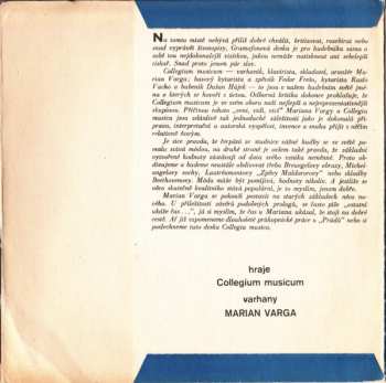 SP Collegium Musicum: Hommage À J. S. Bach / Ulica Plná Plášťov Do Dažďa