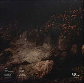 LP Compro Oro: Estarantos CLR | LTD