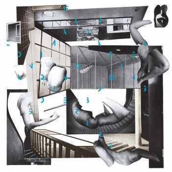 Album Conquering Animal Sound: On Floating Bodies
