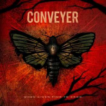 CD Conveyer: When Given Time to Grow