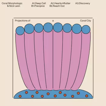 Coral Morphologic: Projections Of A Coral City