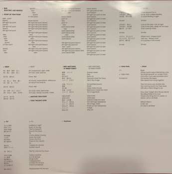 2LP Cornelius: Point DLX | CLR