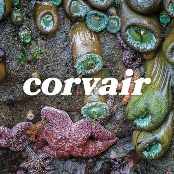 LP Corvair: Corvair