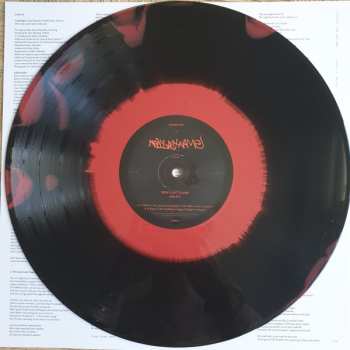 LP Courting: New Last Name CLR | LTD | NUM