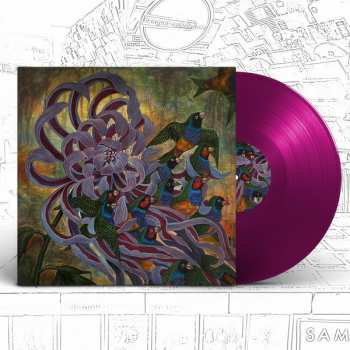 LP Covet: technicolor