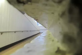 Leave Everything Move Out