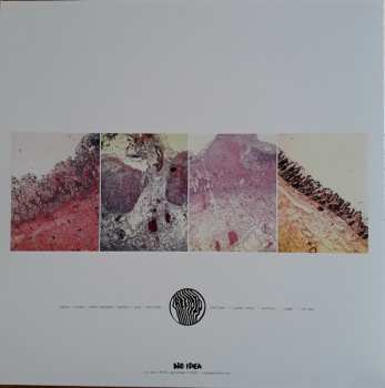 LP Creepoid: Creepoid