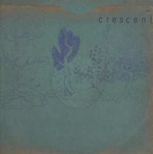 CD Crescent: Resin Pockets 