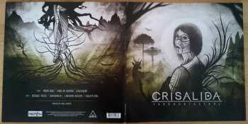 LP/CD Crisalida: Terra Ancestral