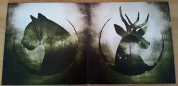 LP/CD Crisalida: Terra Ancestral