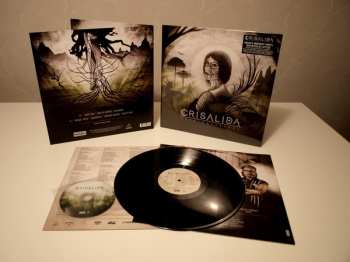 LP/CD Crisalida: Terra Ancestral
