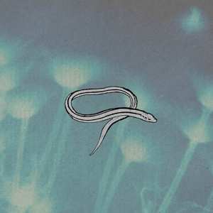 Album Crooked Fingers: Bring On The Snakes