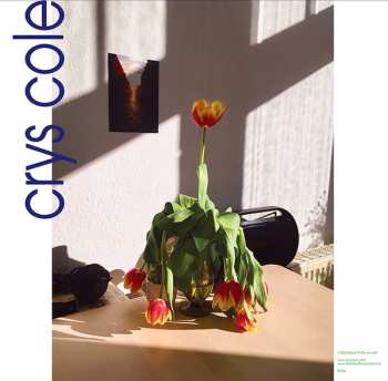 LP Crys Cole: Other Meetings 