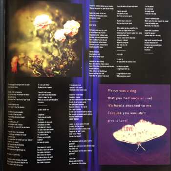 LP Crystal Fairy: Crystal Fairy LTD