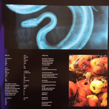 LP Crystal Fairy: Crystal Fairy LTD