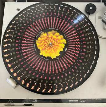 LP Cuco: Wannabewithu LTD | PIC