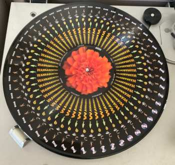 LP Cuco: Wannabewithu LTD | PIC