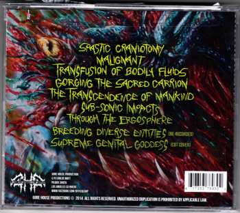 CD Cuff: Transient Suffering Through The Ergosphere