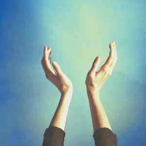 Album Cults: Offering