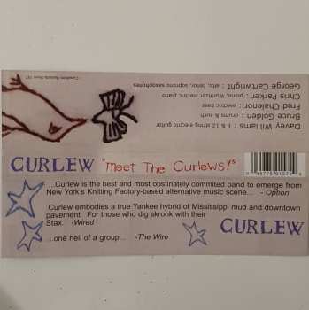 CD Curlew: Meet The Curlews!