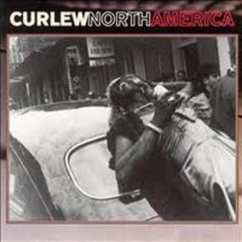 CD Curlew: North America