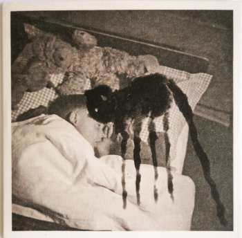 7CD/SP/Dobozkészlet Current 93: The Long Shadow Falls LTD