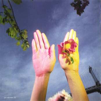 CD Cyndi Lauper: A Night To Remember