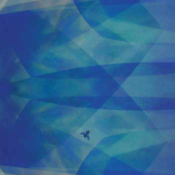 CD Cyro Baptista: Bluefly