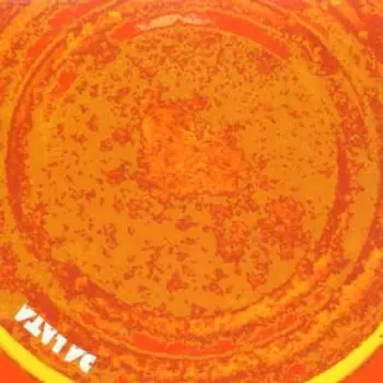 Da Lata: Songs From The Tin