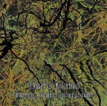 LP Dali's Llama: Twenty Years Underground