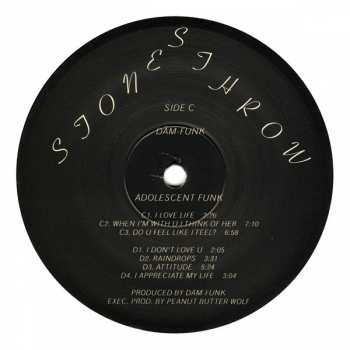2LP Dam-Funk: Adolescent Funk