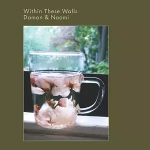 Damon & Naomi: Within These Walls