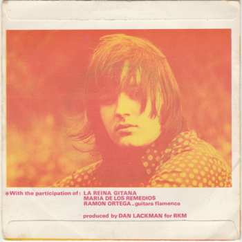 SP Dan Lacksman Association: The Flamenco Moog