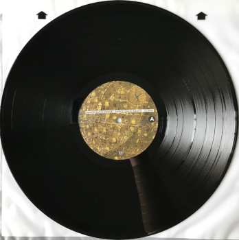 LP Dance Gavin Dance: Dance Gavin Dance