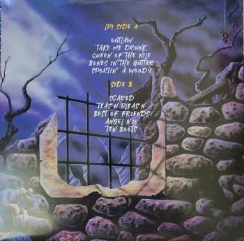 2LP Dangerous Toys: Vitamins And Crash Helmets Live CLR | LTD
