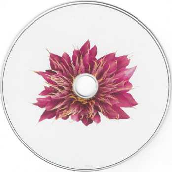 CD Daniel Lanois: Belladonna
