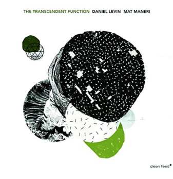Album Mat Maneri: The Transcendent Function